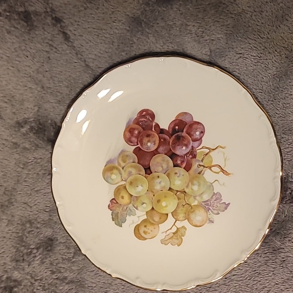 Vintage decorative German Bavarian Schumann Arzburg plate
